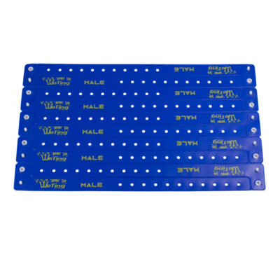 Fiesta Vinyl Event Wristband