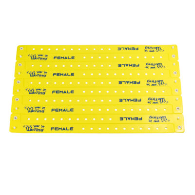 Fiesta Vinyl Event Wristband